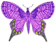 butterflygraphic1.gif