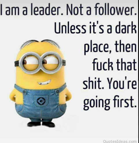 I_am_a_leader_not_a_follower.JPG