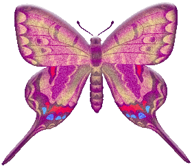 butterflygraphic12.gif
