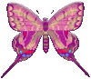 butterflygraphic13.gif