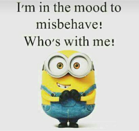 Am_in_the_mood_to_misbehave_who_is_with_me.JPG