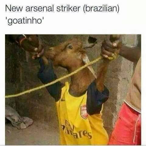 New_Arsenal_striker_Goatinho.jpg